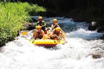 Bali White-Water Rafting and Coffee Plantation Tour