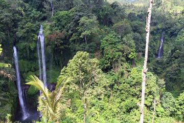 Private Tour: Jatiluwih Rice Terrace and Munduk Waterfall Tour