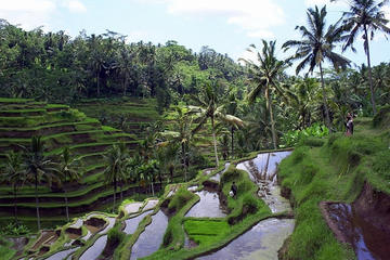 Private Tour: Ubud Sightseeing Tour