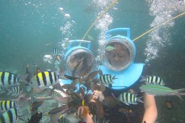 Sea Walking and Turtle island visiting