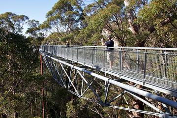 3-Day South West Tour from Perth Including Margaret River, Busselton and Albany
