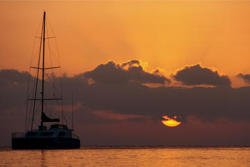4-Day Monkey Mia Tour Including Wild Dolphin Encounter, The Pinnacles and Kalbarri