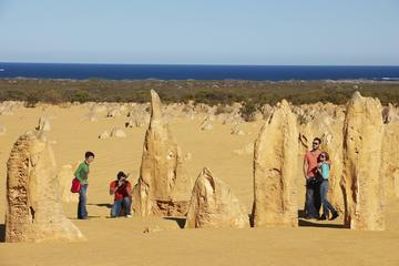 Pinnacles Day Trip from Perth Including Caversham Wildlife Park and Lancelin Dunes Sandboarding