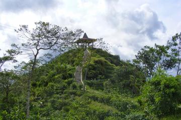 Half-day Private Menoreh Hill Trekking Tour from Borobudur