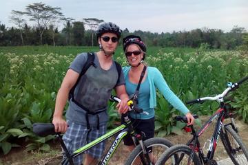 Temples and Village Tour
