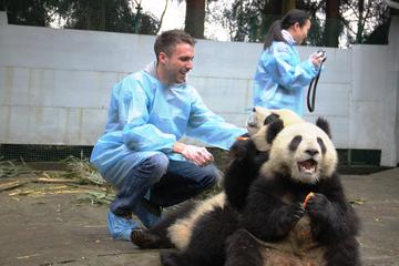 Hold the Panda & Street Food Walk Tour