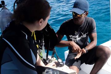 PADI Open Water Diver Certification in Carriacou