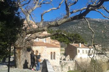 Private Full Day Delphi and Osios Loukas Tour from Athens