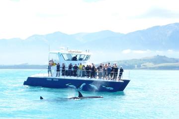 3-Day Auckland to Bay of Islands Return Tour