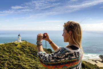 3-Day Auckland to Paihia Return Tour