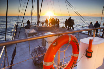 Milford & Stewart Island Flexible Travel Pass - Queenstown return