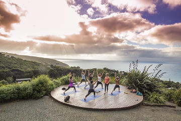 North Island Flexible Adventure Bus Pass - Auckland to Wellington Return