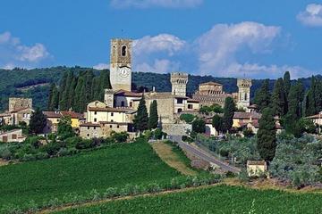Badia a Passignano Visit and Chianti Tasting Experience