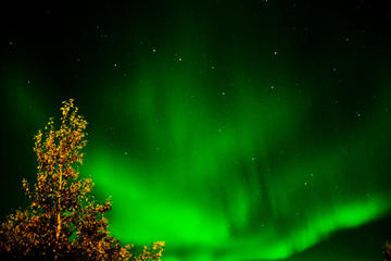 Northern Lights Hunt Including Snacks on Campfire from Rovaniemi