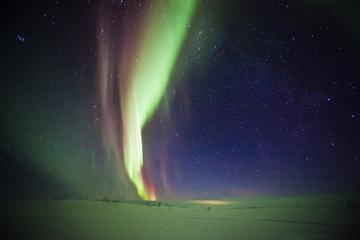 Northern Lights Snowmobile Safari from Rovaniemi with Campfire Picnic