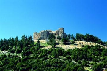 Half Day Tour of Jerash and Ajloun