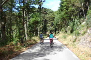 Self-Guided Sintra E Bike Tour
