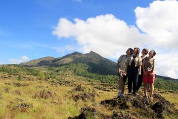 Bali Sightseeing Day Trip from Temples, Volcano to Hot Spring