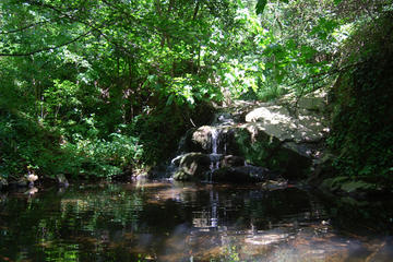 Montseny Guided Hiking Tour from Barcelona with Organic-friendly Lunch