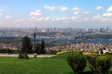 Bosphorus Cruise and Dolmabahce Palace Tour with Lunch from Istanbul