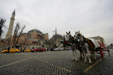 Full Day Istanbul Classics and Bosphorus Cruise Tour
