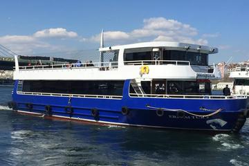 Short Guided Bosphorus Cruise with Transport