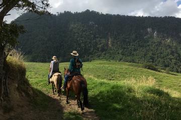 10 Day Los Llanos Adventure Colombia