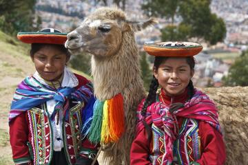 15-Days Budget Program Highlights Ecuador and Galapagos Islands