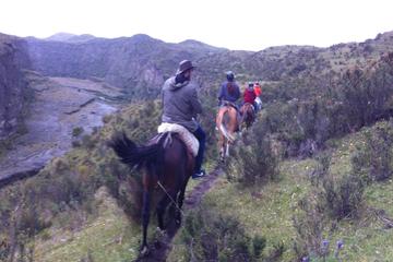 4-Day Horse Trek Through Andes or Cloud Forest