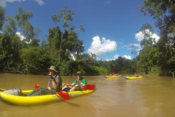 6-Night Kayak Tour of Yasuni National Park from Quito