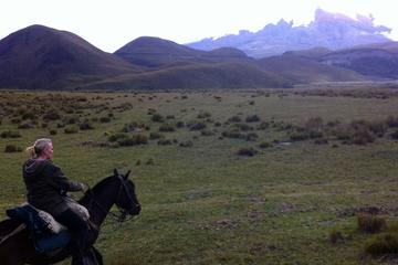 Avenue of the Volcanoes Overnight Horseback Riding Tour