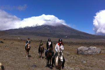 Cotopaxi Overnight Horseback Riding Tour