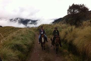 Paramo Day Trip: Horse Riding and Hot Springs