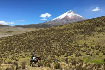 Private Horseback Riding at Cotopaxi Volcano from Quito