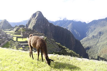 2 days inca trail to machu picchu