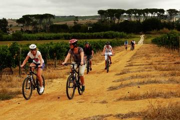 3-Hour Franschhoek Valley Mountain-Biking and Wine-Tasting Tour