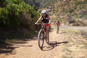 Franschhoek Winelands Guided Day Tour from Cape Town