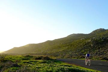 Half-Day Guided Stellenbosch Winelands Mountain Bike Tour