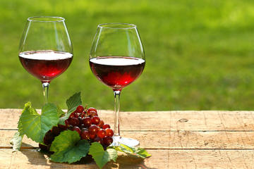 Private Wine Tasting Tour from Makarska Riviera to Peljesac Peninsula