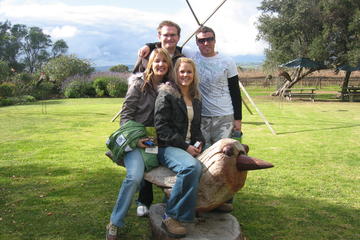 Private McLaren Vale Intimate Winery Day Trip from Adelaide