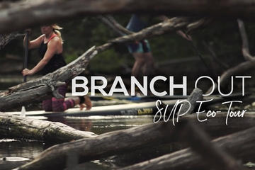 Toronto Islands Stand-Up Paddleboarding Tour