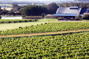 Private Hunter Valley Day Trip from Sydney Including Wine, Chocolate and Cheese Tasting