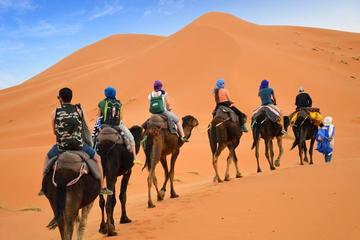 Camel trek from merzouga sahara