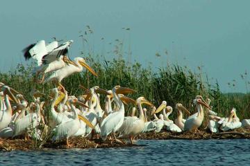 Danube Delta Wonders 2 days Tour