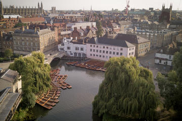 45-Minute Shared Punting Tour in Cambridge