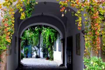 Hidden Gems in Vienna Inner City Private Walking Tour