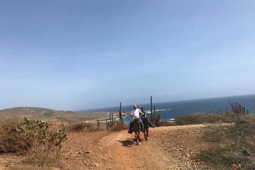 Andicuri Beach Rancho Loco Aruba
