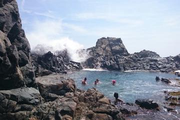 The Top 10 Aruba Horseback Riding W Prices Natural Pool Horseback Riding Tour In Aruba