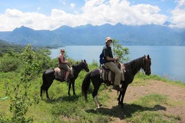 Horseback Riding Tour