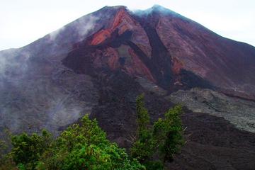 Private Tour One Day Hike - Pacaya Volcano from Puerto Quetzal